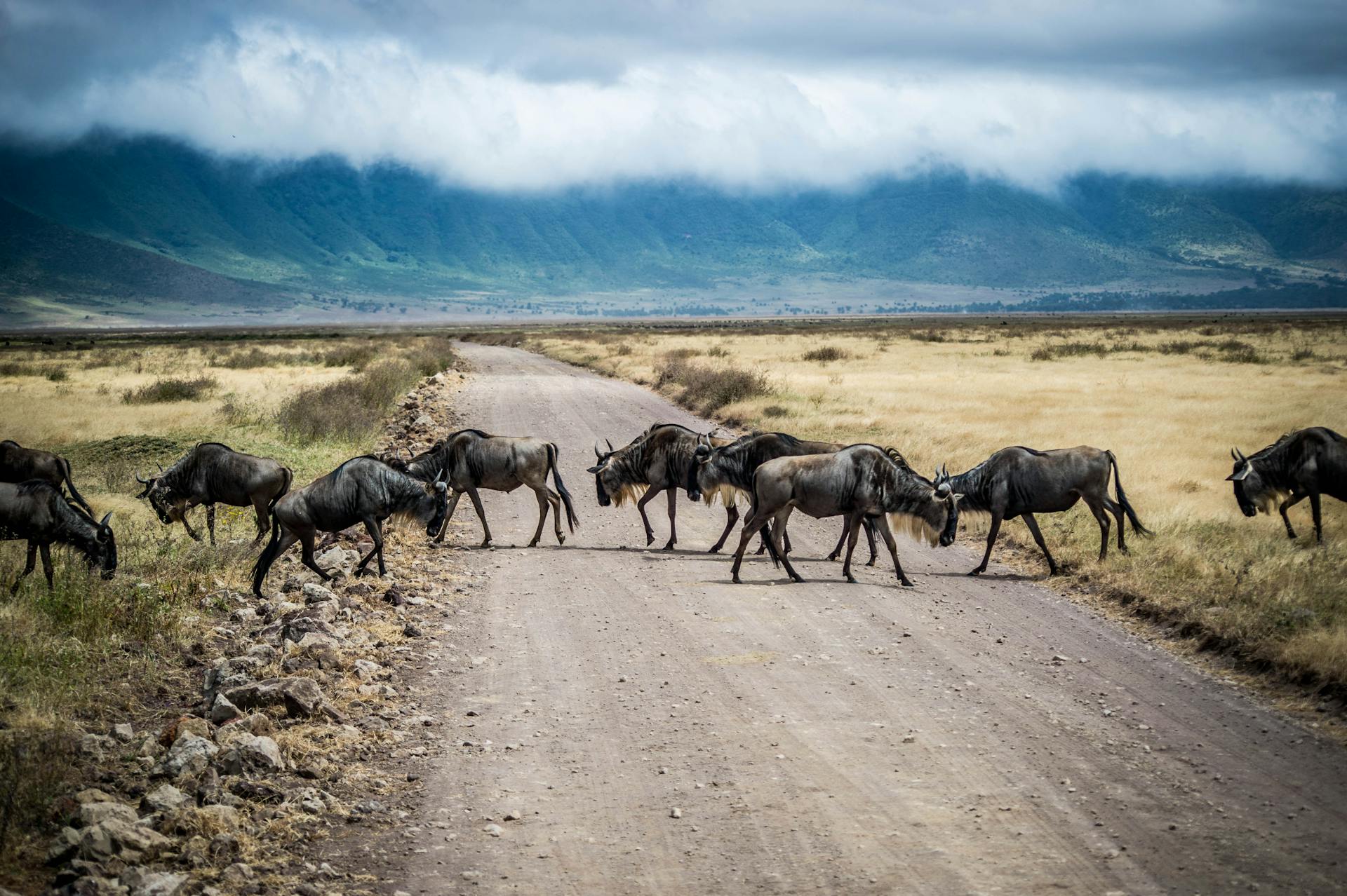 Tanzania