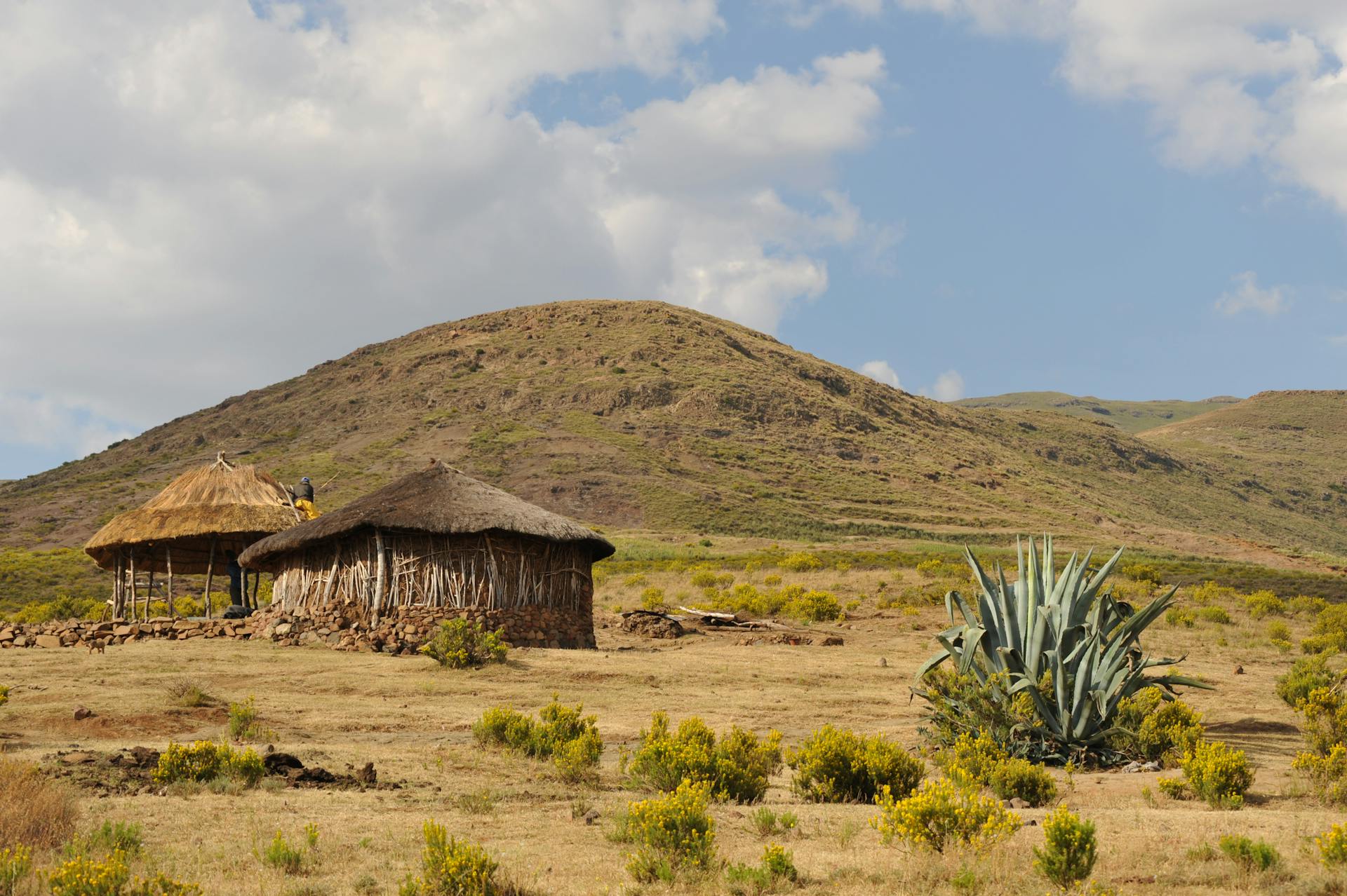 4-Day Amboseli, Tsavo West & Taita Hills Safari