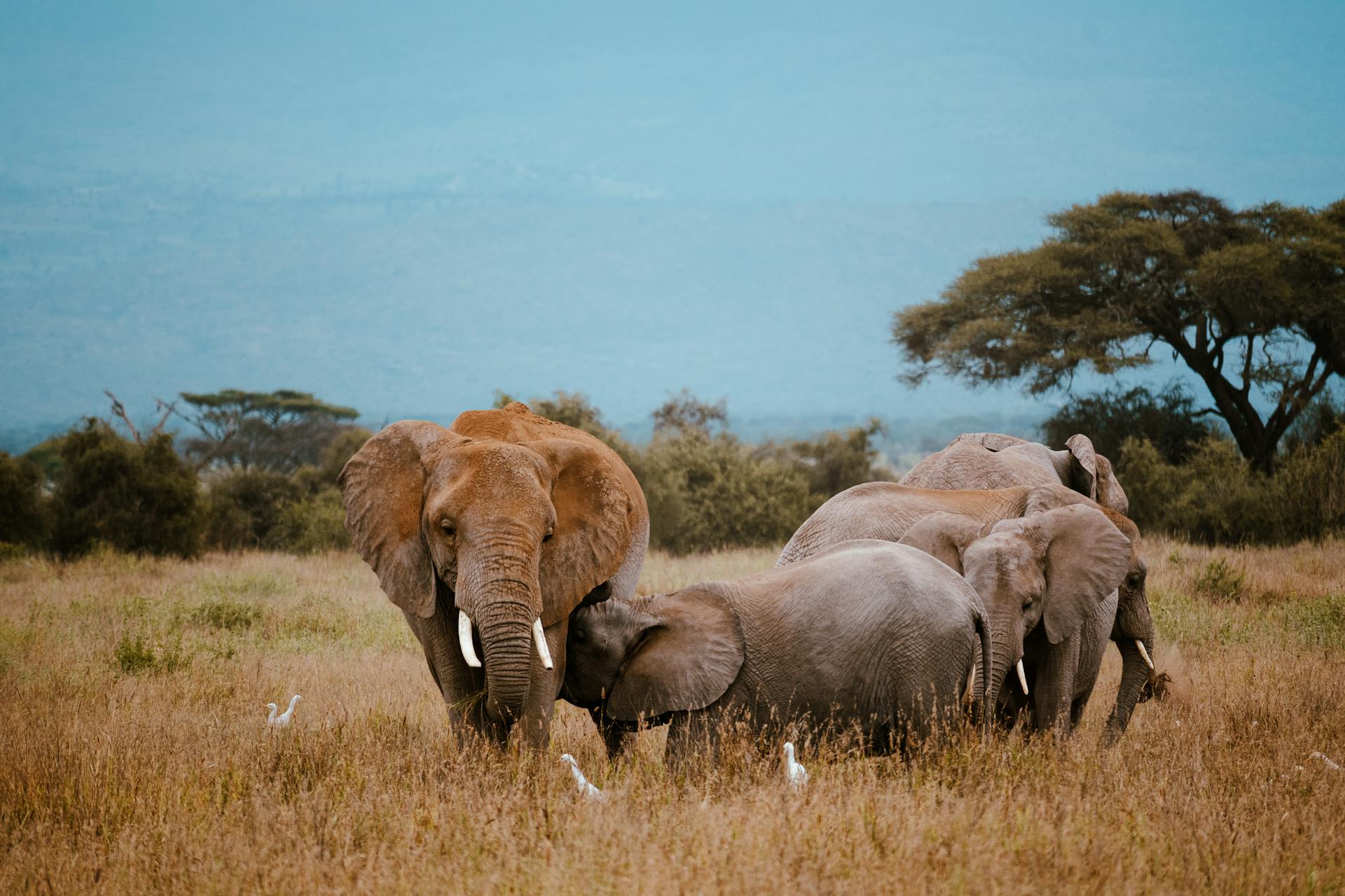 Kenya